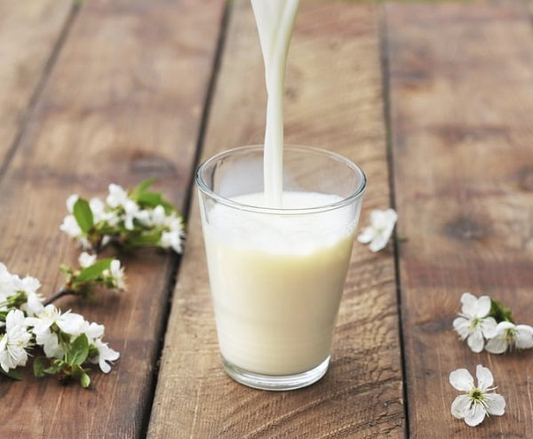 تناول الحليب خالي الدسم أو قليل الدسم بعد عملية انقاص الوزن