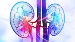 kidney transplantation