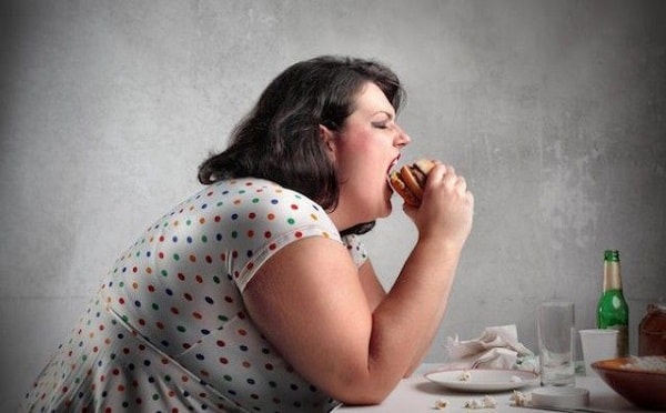 obesity causes