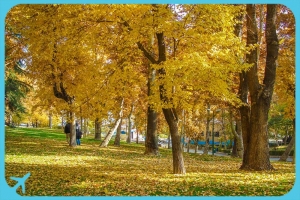 Autumn in Tehran