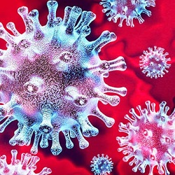 novel coronavirus tips