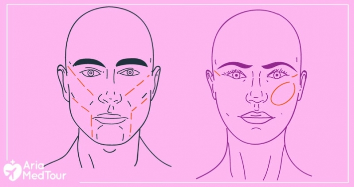 8 Key Differences Between Male and Female Facial Features