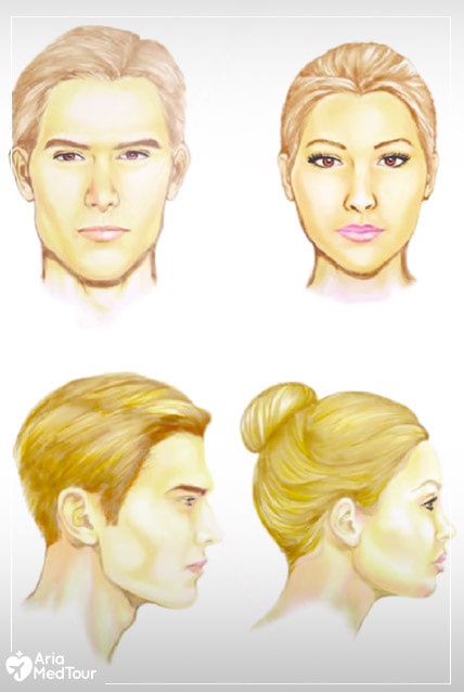 What makes a person's face look masculine or feminine?
