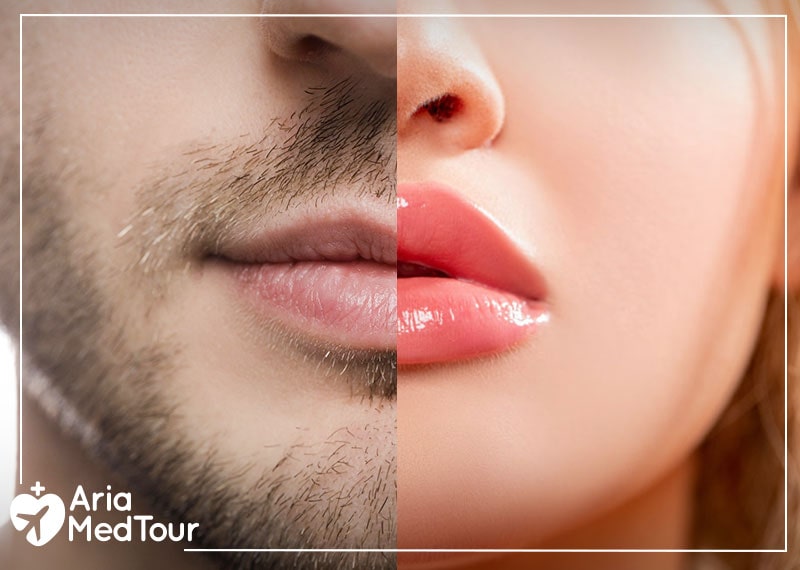 differences between a male and a female lips