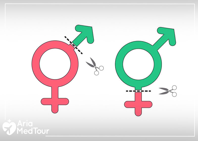 Choose a graphic symbol of transgender with the symbol of surgery, which is scissors and surgical equipment, and preferably, the background of the image should be green, white, and red, which is the symbol of Iran.